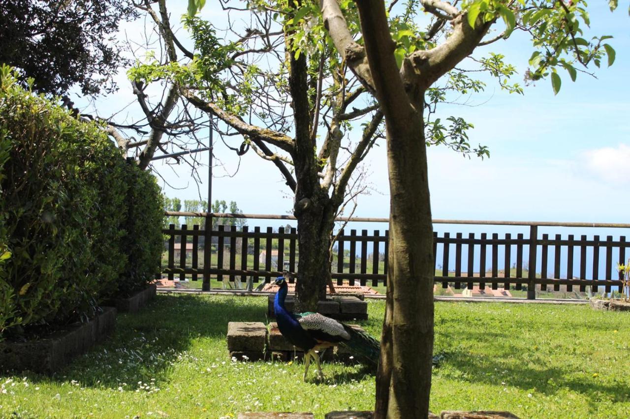 Agriturismo La Baita Аджерола Экстерьер фото