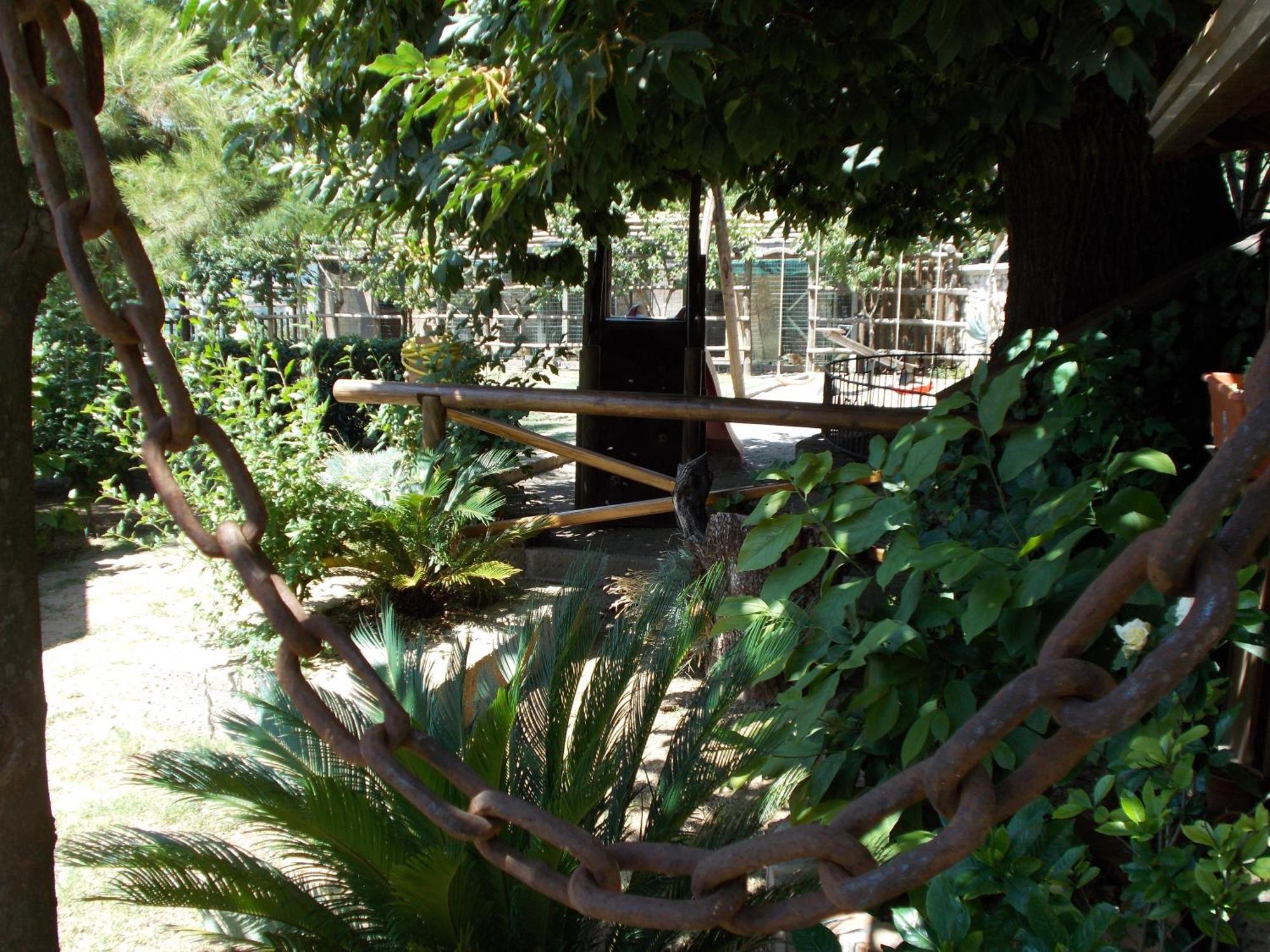 Agriturismo La Baita Аджерола Экстерьер фото